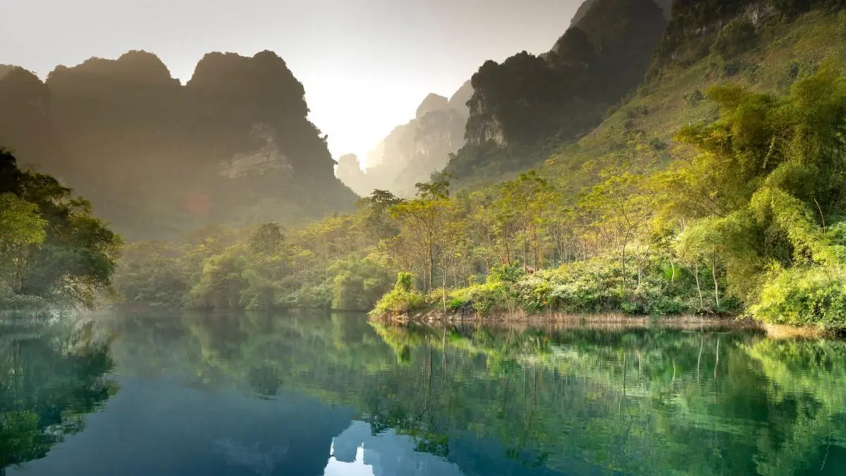 独特智慧可靠性